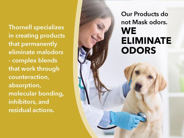 20a4fa80-41d3-4a0c-aea1-053593a4c97f