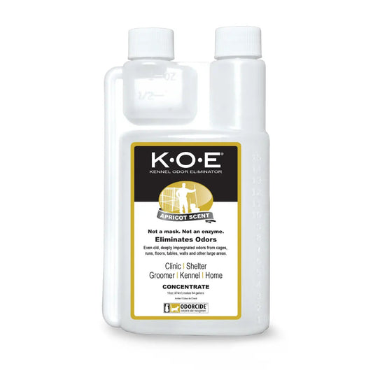 56587077-1e41-4db7-8bc4-8a7f413c5d3a